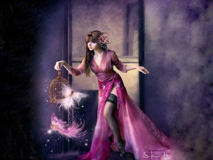     ,  , ,   , , 